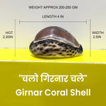 GIRNAR CORAL SHELL- GUJARATI